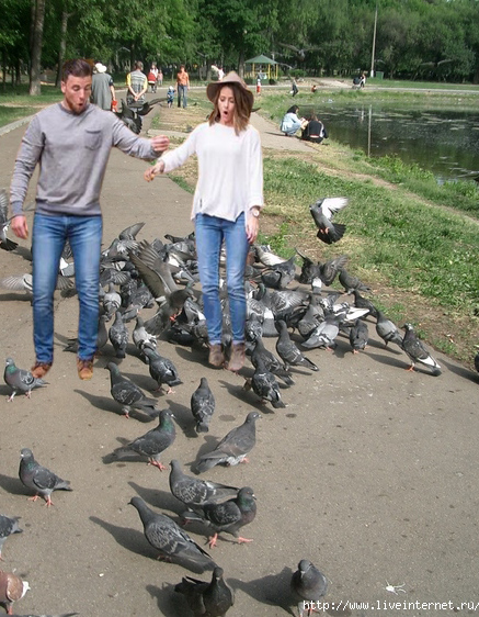 Фотожаба: семья в лесу