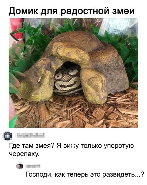 Баянисто-небаянистый юмор 17.02.21