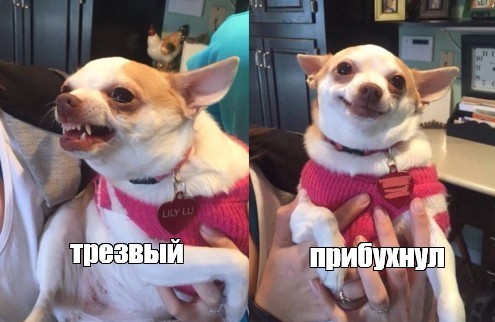 Женское насилие в семье