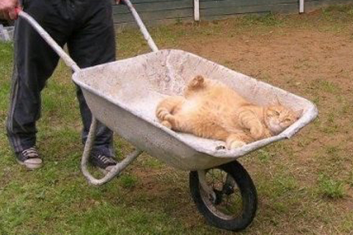 Уснул в тачке