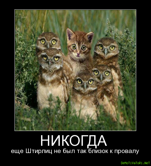 Интересные и редкие ретро-фотографии 31.05.2021