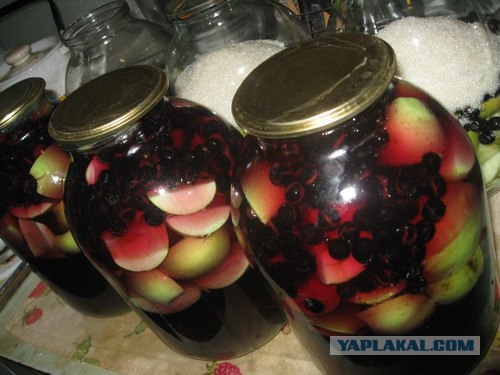 Консервируем на зиму