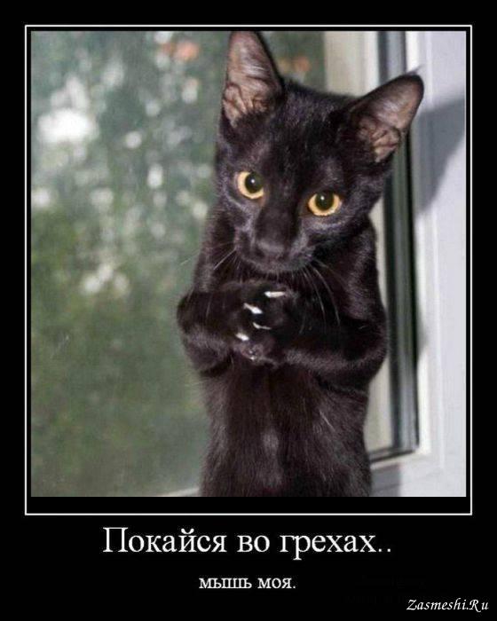 В ней содержатся наночастицы металла, которые "перемещают центр управления поведением куда-то вовне"
