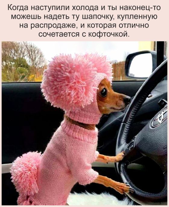 Так себе картинки 15.11.21