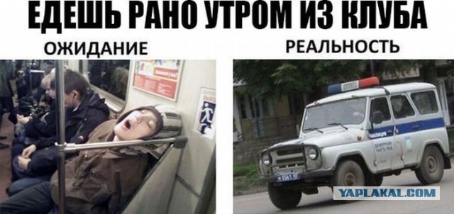 Всяческие картинки 15.12.2021