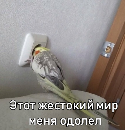 ПятничнаяХня, для деградантов