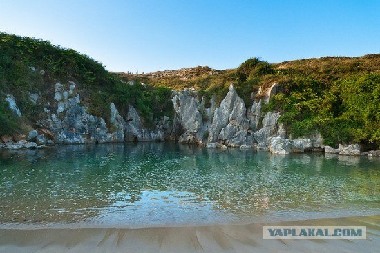 Морской пляж посреди пустыря с кустарником