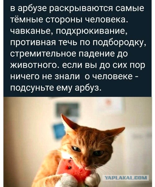 Немного картинок."Колбасный ветер". Август