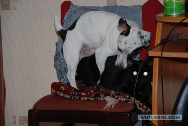 Что мне делать?Новосибирск-помогите.