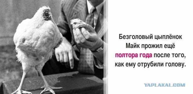 30 суровых фактов, которые пугают больше, чем фильмы ужасов