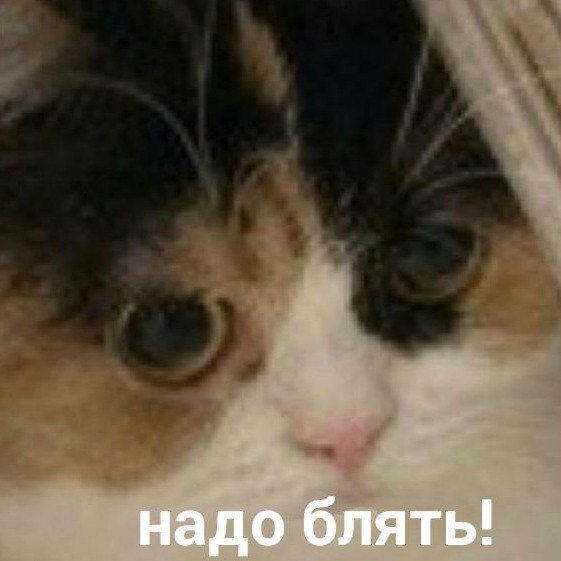 Военнослужащие Белорусии на границе с Украиной получили тактический знак и красные повязки