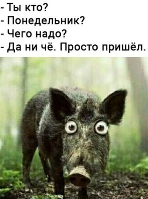 Скриншоты и комментарии из социальных сетей 28.12.22