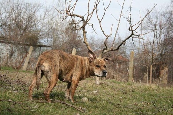Красивые и необычные картинки