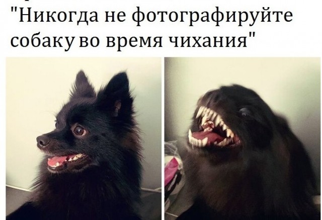 Картинки и мемы, всем хороших выходных