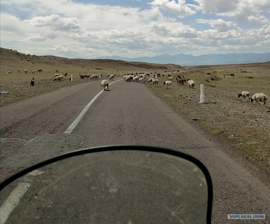 Монголия путешествие на автомобиле. Цагааннуур монголия. Автомобильные дороги монголии сверху. Автомобильные дороги монголии сверху. Монголия трасса.