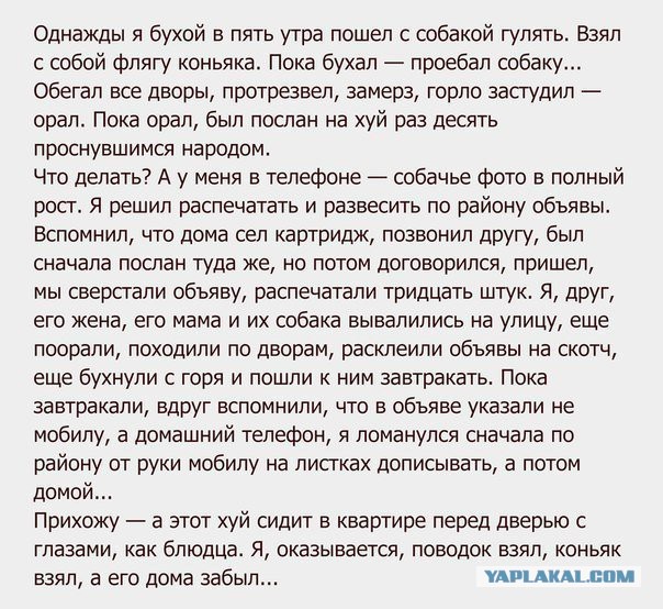 Эпопея со сбежавшим в А/П "Внуково" котом закончилась