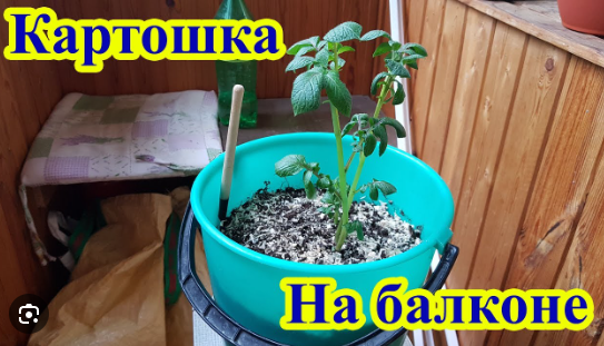 "Дальнобойщики — они до бабы голодные всегда". Исповедь проститутки