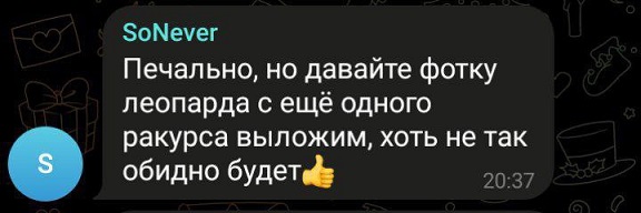 Российские войска прорвали оборону под Авдеевкой
