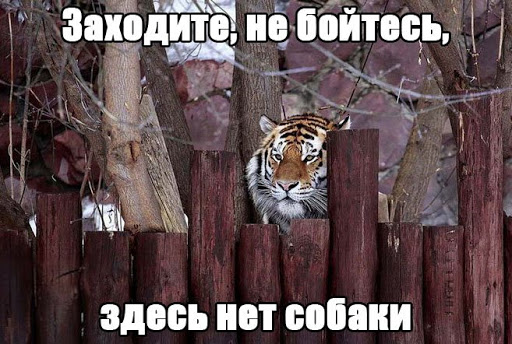 Разножанровые картинки. Без определённого смысла