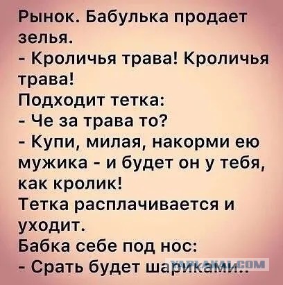 Забавные комментарии из социальных сетей (04.03.24)