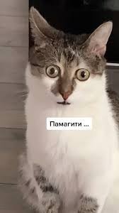 Нашел нож