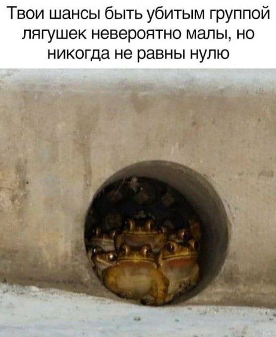 Никакие картинки и тексты