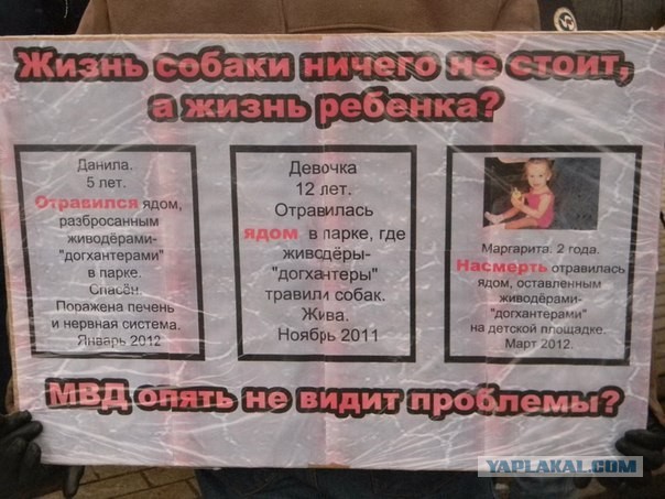 Догхантеров хотят сажать на три года