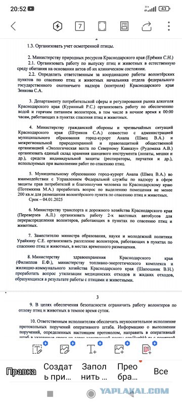 90% птиц, спасённых в Анапе волонтерами и вывезенных в Краснодар, умерло по дороге - орнитолог