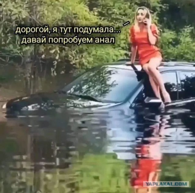 Баяны, очень баяны, но думаю улыбнёт
