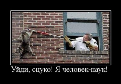 Ужас в ночи!