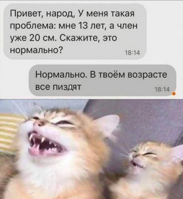 Весёлый полтишок 23.01.25