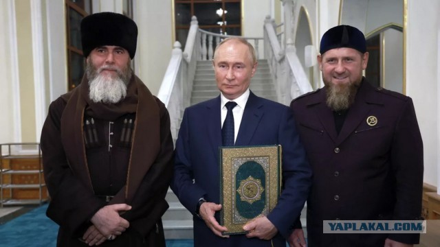 Петербургский фитнес-клуб запретил открытые купальники