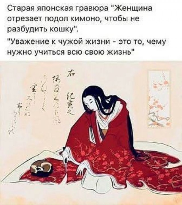 Сегодня отмечается День уважения кошек
