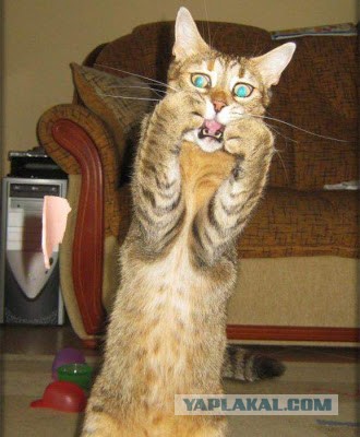 Это означает, что она тебя любит.