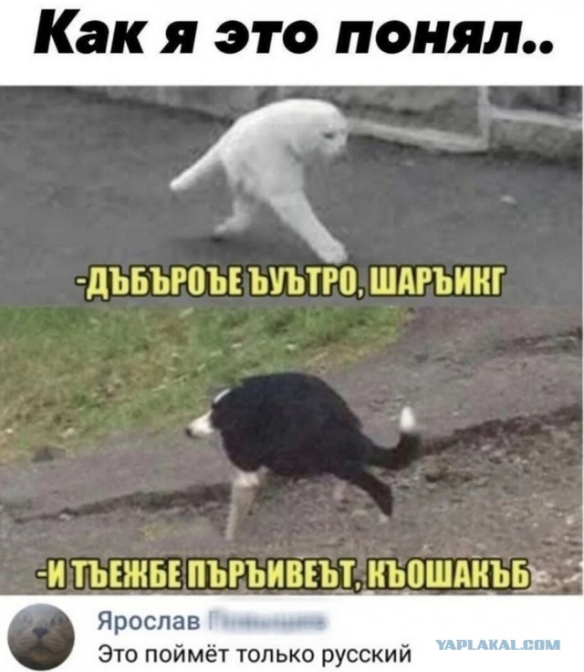 Наскрёб с древней флешки картинки.
