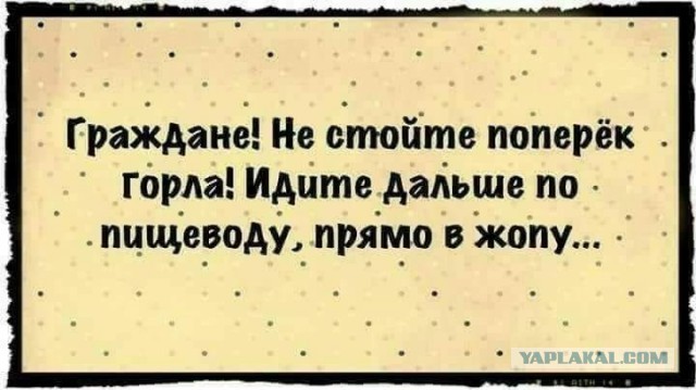 Субботние картинки
