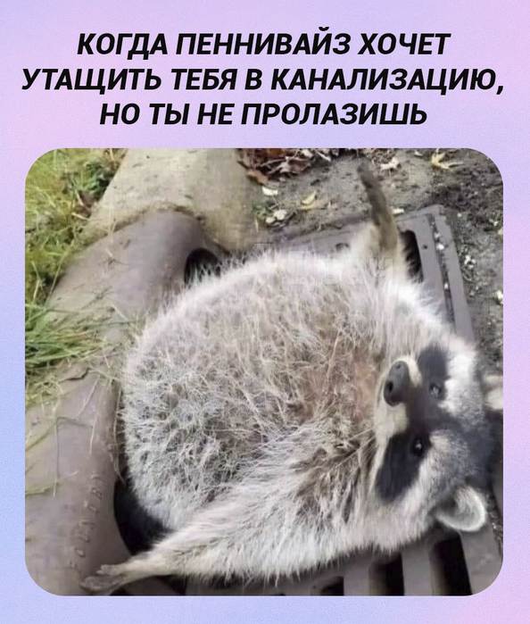 Картинки для деградации 158 (разной степени свежести)