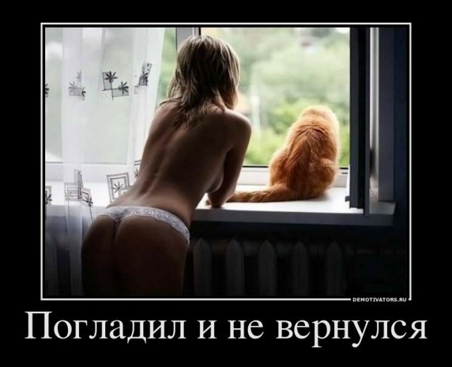 Подборка картинок-баянов с котиками и про котиков. Выпуск 34.