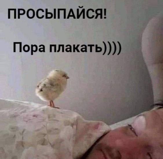 Хочу плакать.. и не могу. Или не хочу?
