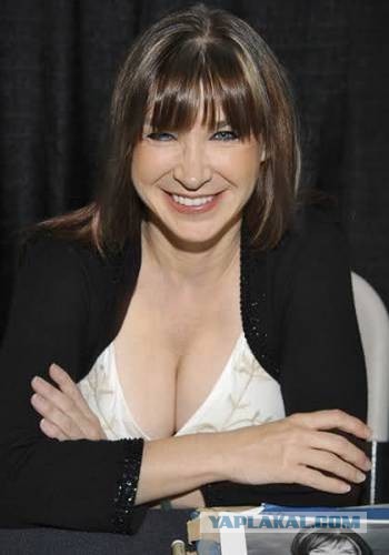 Метастазы Мексиканского залива