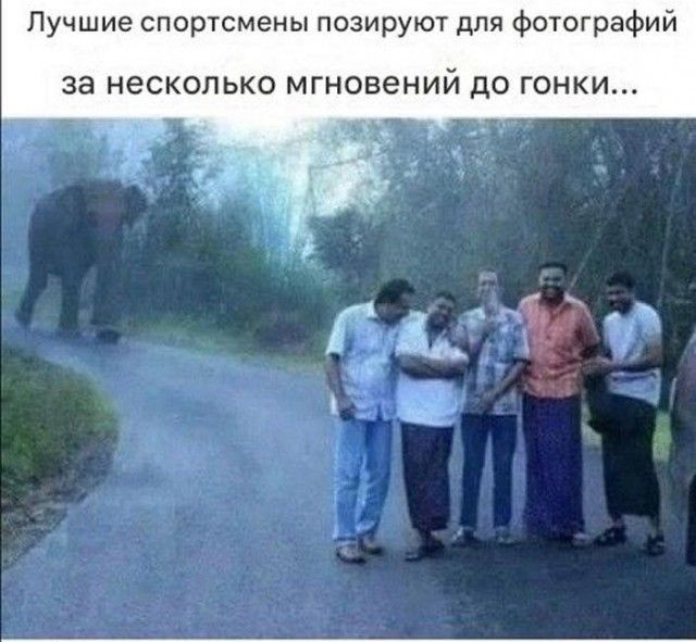 Картинки без критики