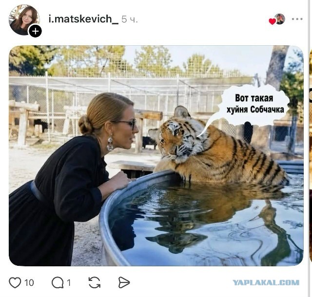 Принял. Едем.