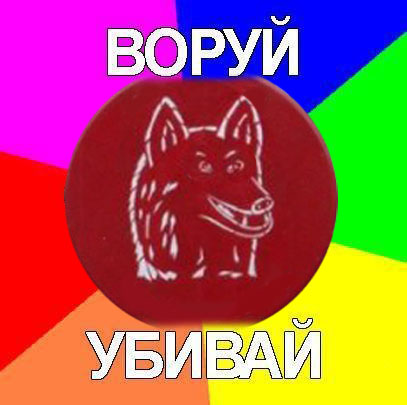 Осторожно! Смешная собака