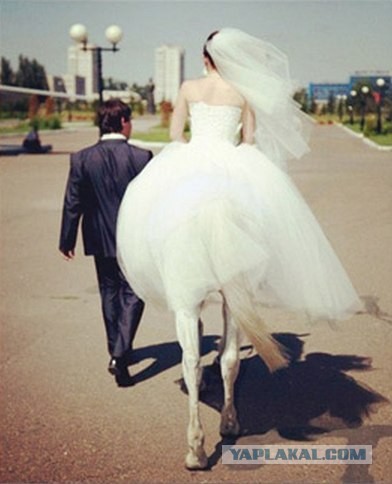 Еще одна кобыла сказала про Блокаду.