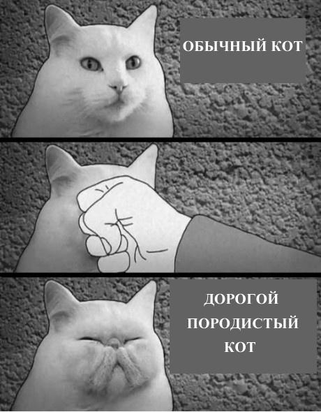 Модульная стенка