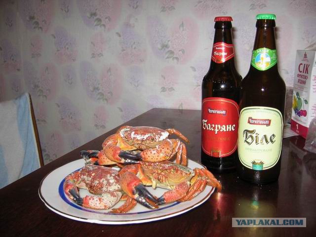 Крымские пейзажи.