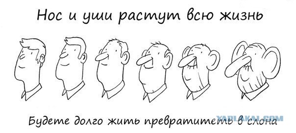 Любопытные факты