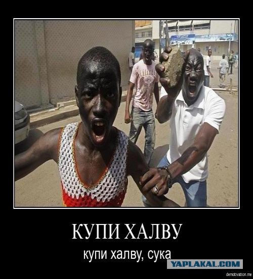 Все люди братья.