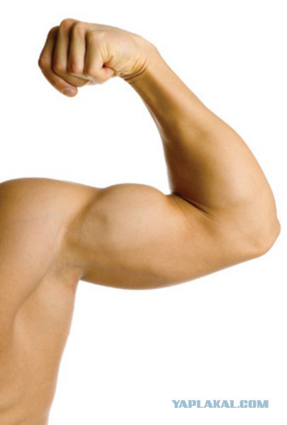 История одного выездуна