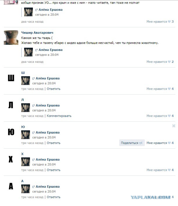 В Тверской области молодые люди постирали котёнка